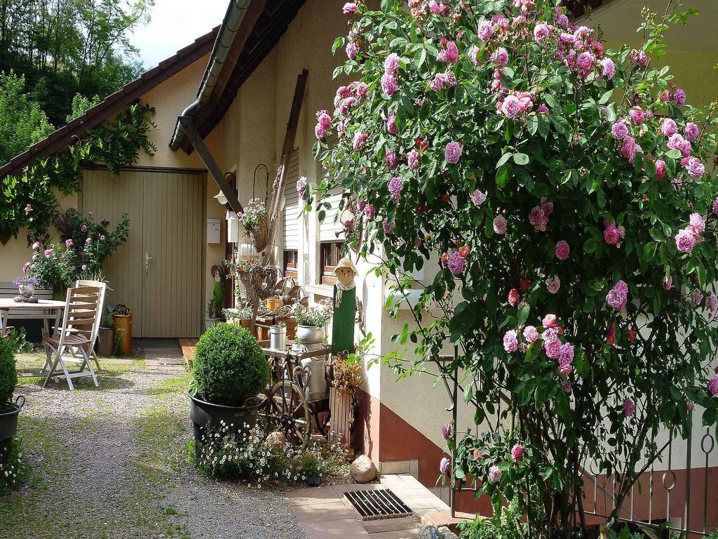 Ferienwohnung Hugelgarten Oppenau Exteriér fotografie